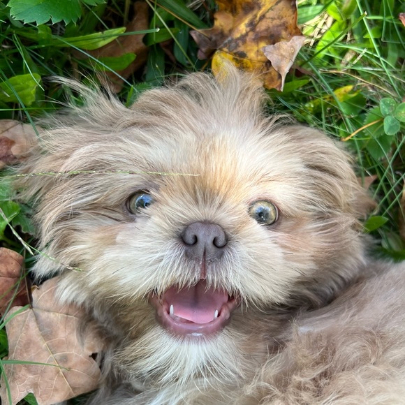 Meet your Posher, Nikki - Picture 9 of 13